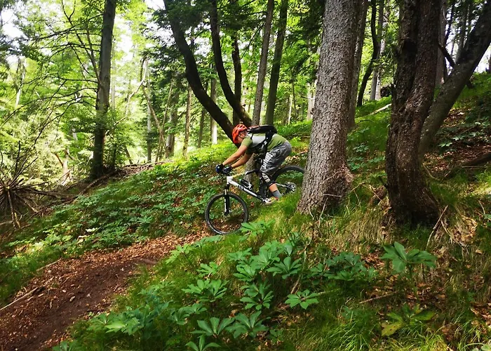 Appartement Lipar Preddvor